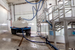 Продажі сирого молока в «Астарті» у 2025 році зросли на 6%