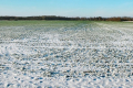 Сьогодні в Україні прогнозують снігопади і хуртовини