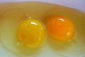 Найсвітліші жовтки мають органічні яйця