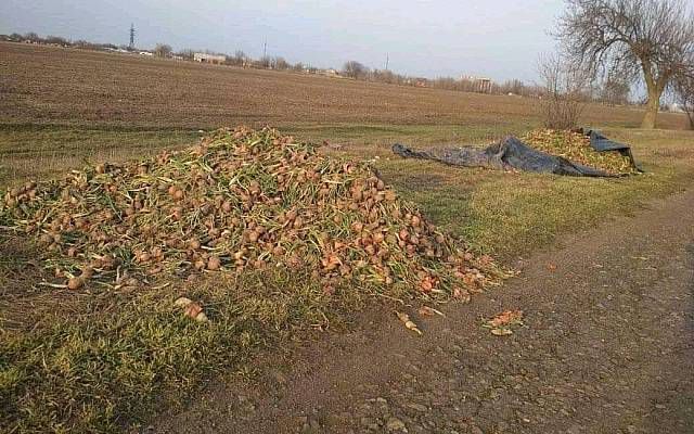 Херсонські фермери викидають зіпсовані овочі біля доріг