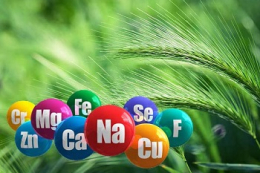 Мікродобрива здатні знижувати захворюваність сільгоспкультур