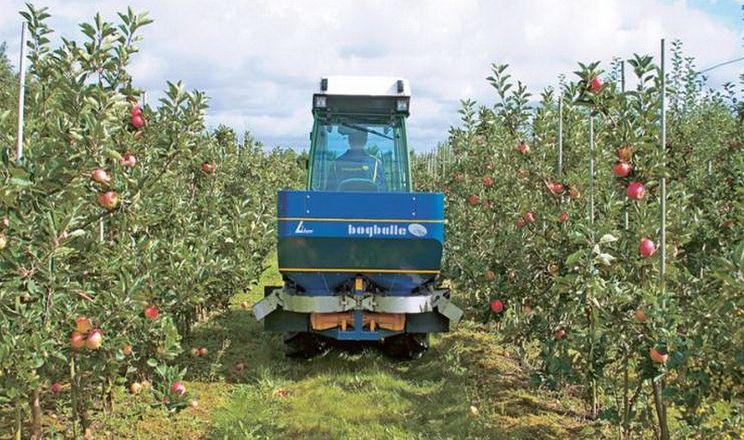 Яблуневий сад удобрюють органічними та мінеральними добривами