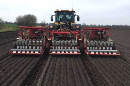 Польські овочівники скорочують виробництво через падіння цін