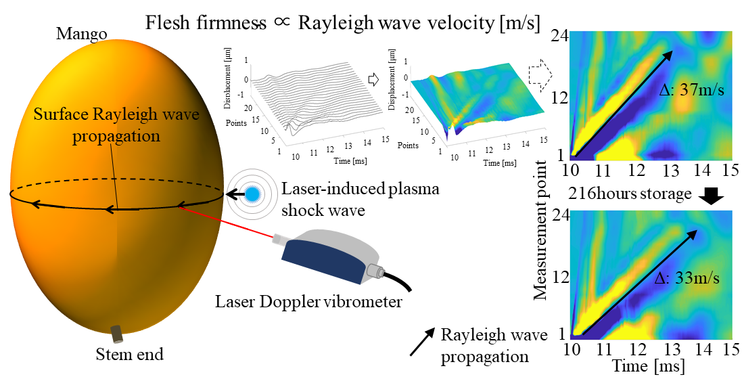 У японських вчених стиглість фруктів вимірюють лазер та плазмові хвилі