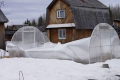 Багато фермерських теплиць на Чернігівщині впали під вагою снігу