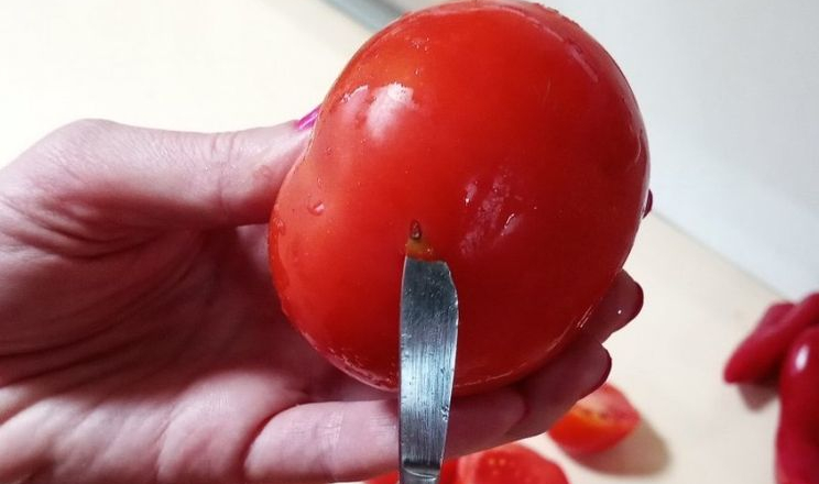 Фітосанітари у турецьких томатах в Чернівцях виявили Tuta absoluta