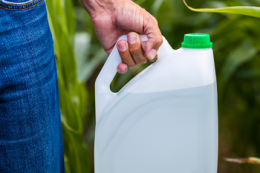 Як перевірити ЗЗР перед купівлею, аби уникнути фальсифікату та штрафів