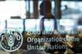 ФАО розглядає Україну як світового гаранта продовольчої безпеки