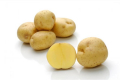 Вчений назвав найпопулярніші сорти сертифікованої насіннєвої картоплі