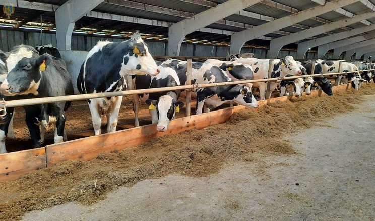 Швейцарія підтримає молочні господарства на деокупованих територіях