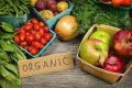 Українських школярів годуватимуть органічними продуктами