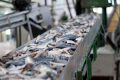 Україна має шанс стати великим переробником риби, – думка
