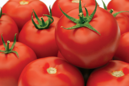 Ціни на томати у Європі почали знижуватися&nbsp;