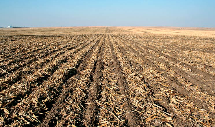 В KSG Agro для контролю бур’янів застосовують різний обробіток ґрунту