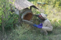 На Одещині створюють медовий кластер співтовариств бджолярів