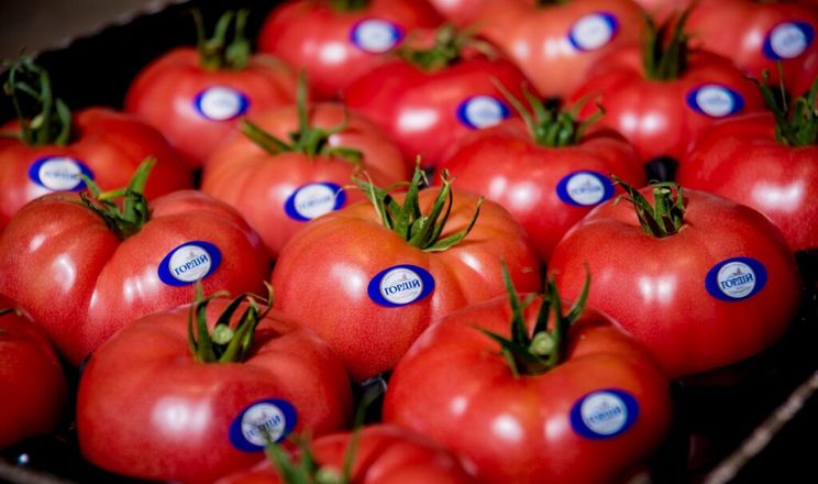 Аналітики обіцяють недешеві томати