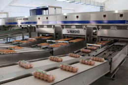 Виробництво яєць удвічі-втричі вище за попит внутрішнього ринку