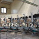 Виробництво молока в промисловому секторі зросло в січні на 6%