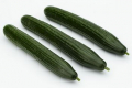 Sakata представила перший сорт довгоплідних огірків