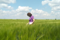 На Кіровоградщині стартувала перевірка насінницьких посівів зернових
