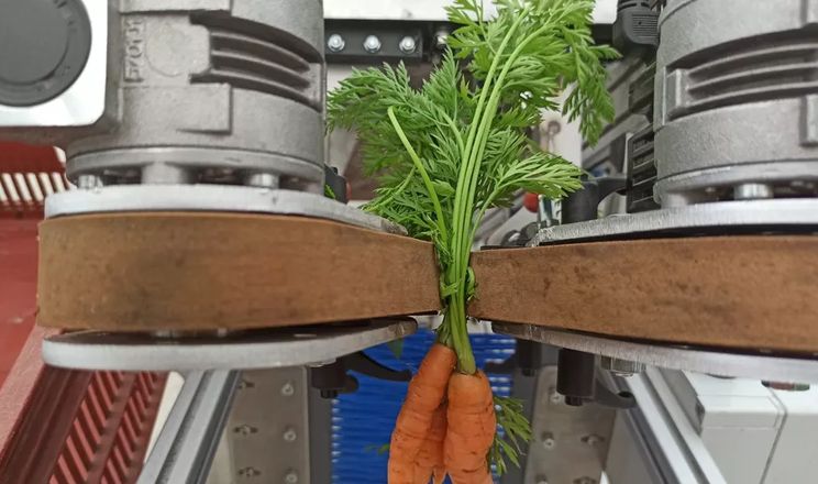 У Франції розробляють овочеві роботизовані ферми