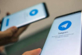 Як залучити фінансування через чат-бот у Telegram, - AgroApp