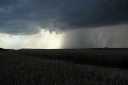 Погода в Україні: дощі й грози в частині областей