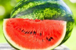 Гуртові ціни на кавуни продовжують знижуватися