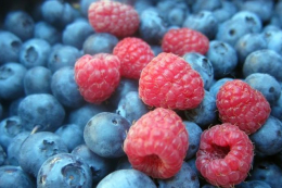 Український експорт ягід залежить від малини та лохини&nbsp;