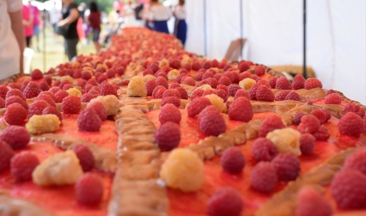 На «Малина Фесті» на Вінничині спекли найдовший малиновий пиріг України