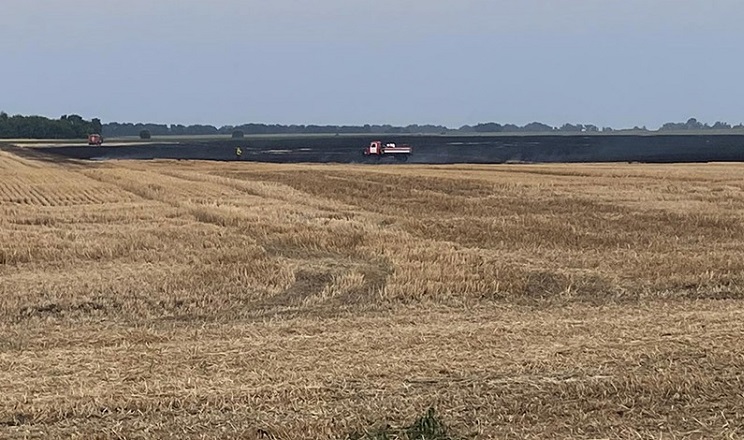 Через обстріли на Миколаївщині згоріло 10 га пшениці