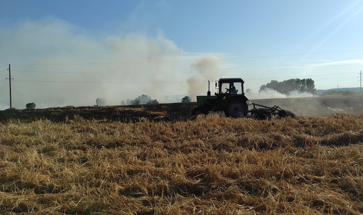 На Київщині згоріли майже 10 га посівів ярого ячменю