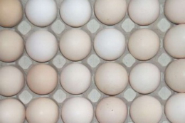 Виробництво яєць за 3 місяці зросло на 10%