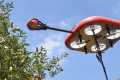 Ізраїльська компанія розробила дрон для збирання врожаю