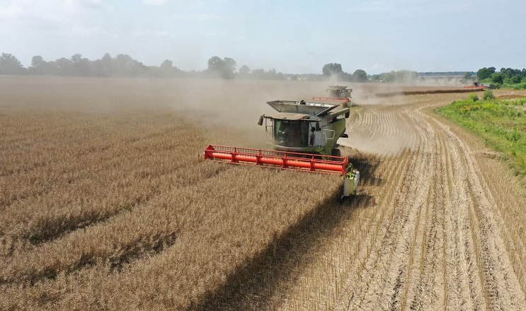 Україна зібрала рекордний врожай ранніх зернових