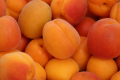 Експерти не радять вирощувати персик та абрикосу на експорт