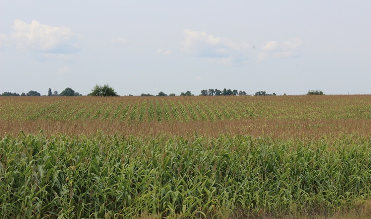 «Агрофірма Прогрес-Агро» закладає добрива під кукурудзу на різну глибину