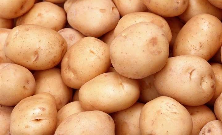 Названо найурожайніший вітчизняний сорт картоплі