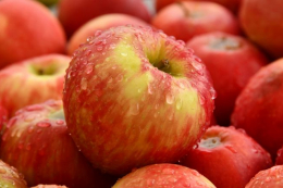 Статус українського яблука на світовому ринку псують опортуністи