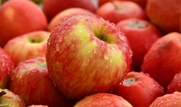 Експорт яблук цього сезону вдвічі більший, ніж у попередні