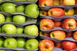 Середньозважена ціна українського яблука на експорт $0,5-1/кг