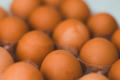 Яйця подешевшали на 16,2% у березні