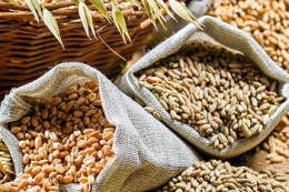 Україна в червні експортувала понад 1,4 млн тонн зерна