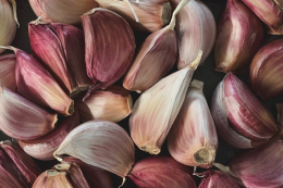 Імпортний часник не витримує українських умов і дає слабкий результат