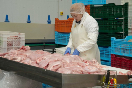 Виробники м'яса птиці в травні підняли ціну на 5,9%