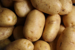 Держустанова оголосила тендер на закупівлю картоплі