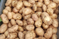 Шість з семи найпопулярніших сортів картоплі у Польщі – місцеві