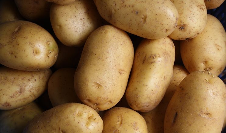 Держустанова оголосила тендер на закупівлю картоплі