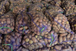 Ціни на картоплю – найвищі за 10 років