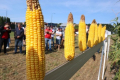 На Digital Field показали результати диференційованого висіву кукурудзи